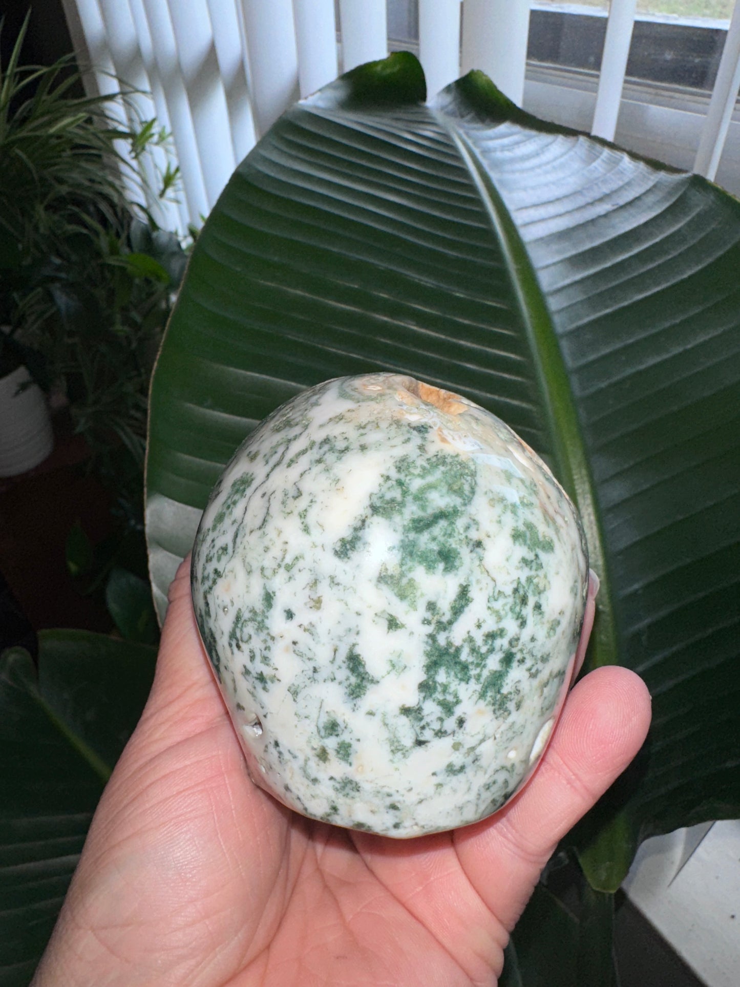 Druzy Moss Agate Crystal Skull