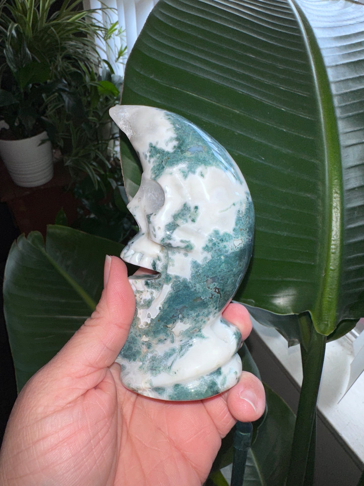 Druzy Moss Agate Crystal Moon Skull