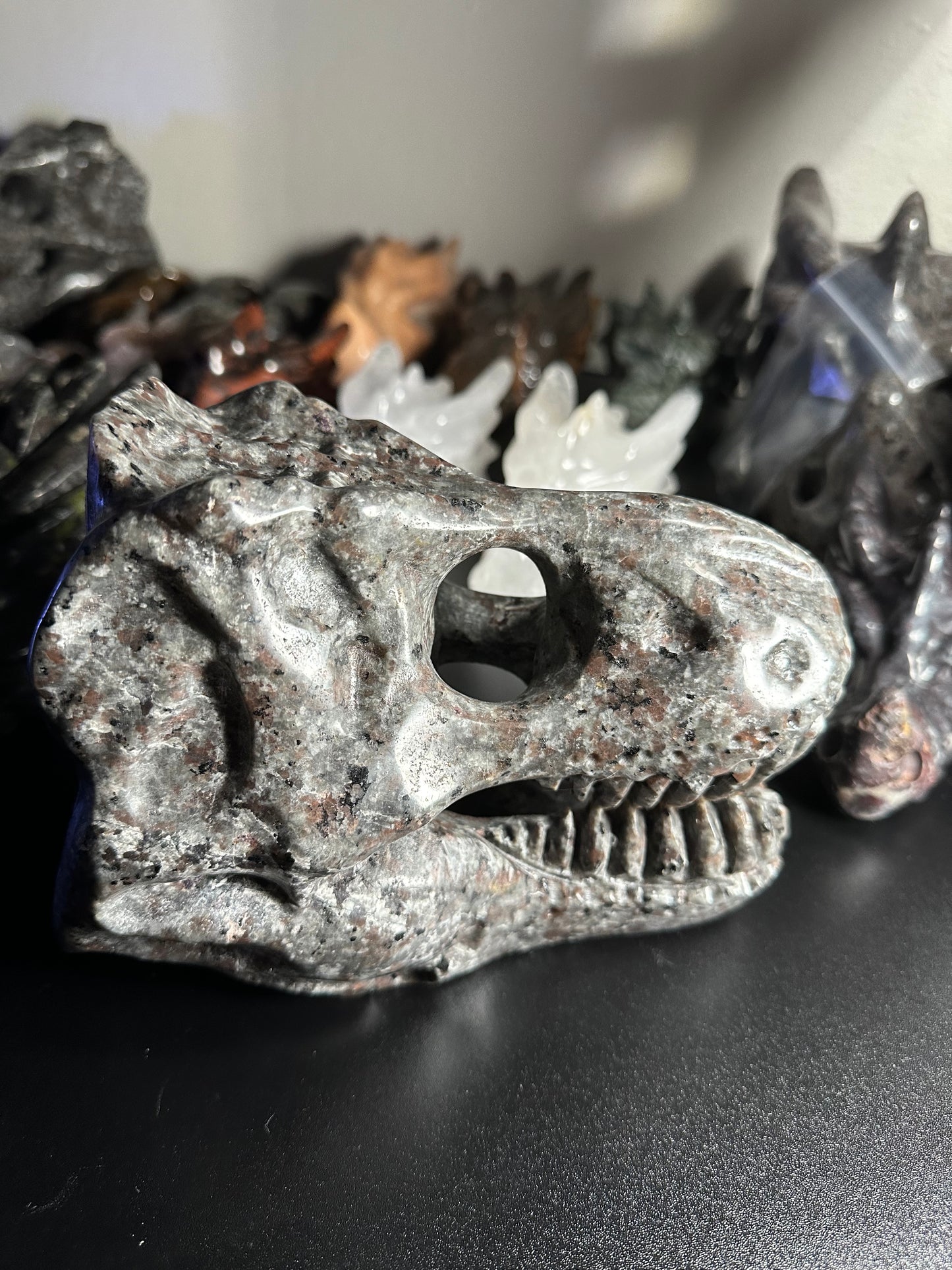 Trex Skull