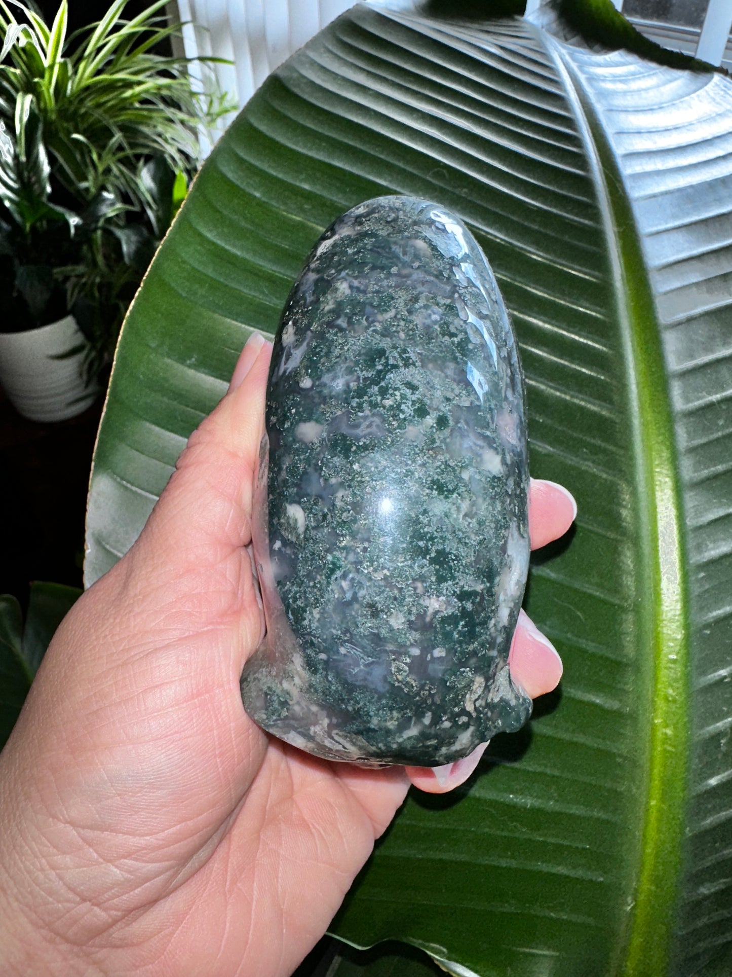Moss Agate Elongated Alien Crystal Skull