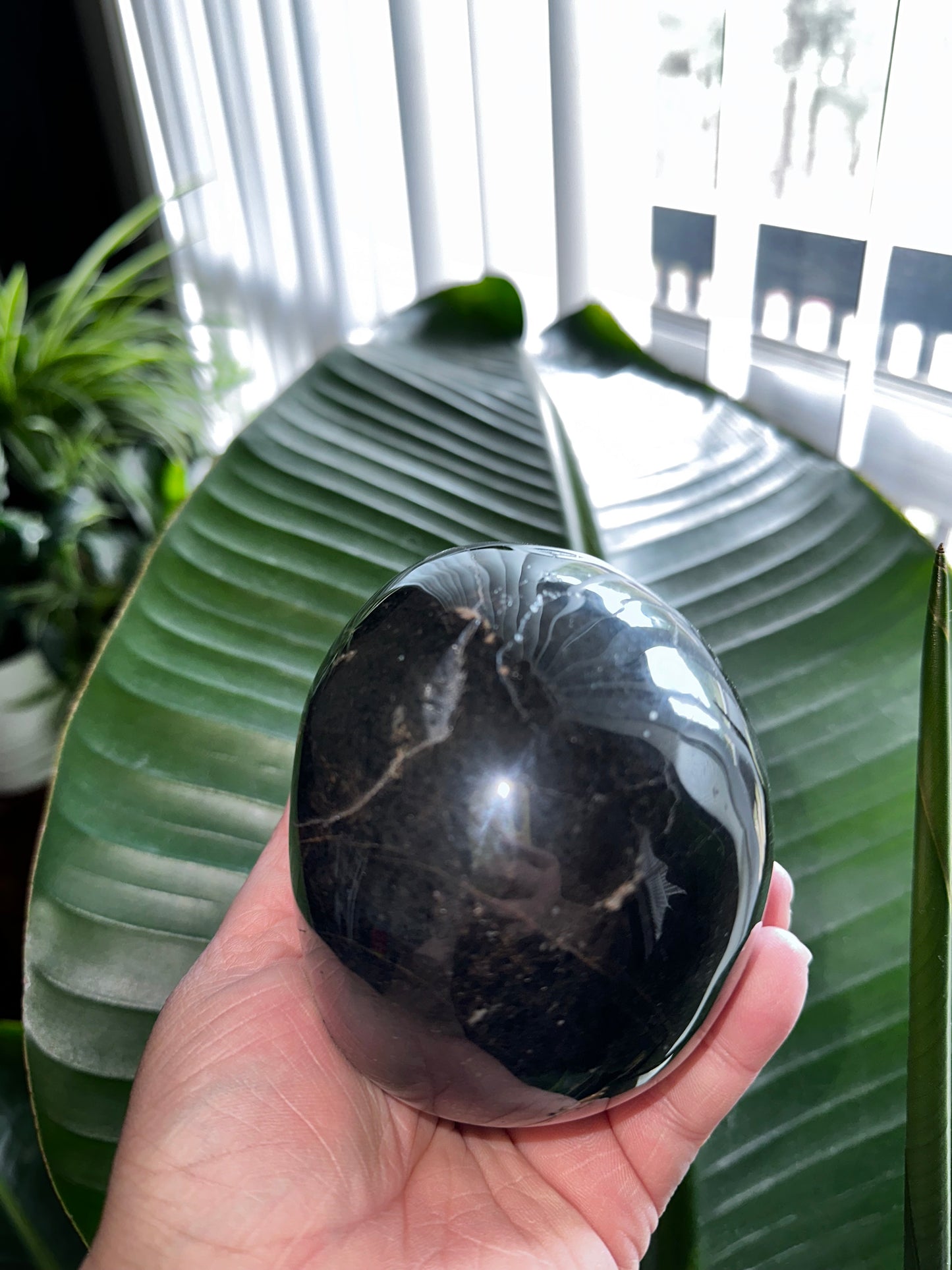 Black Tourmaline Crystal Skull