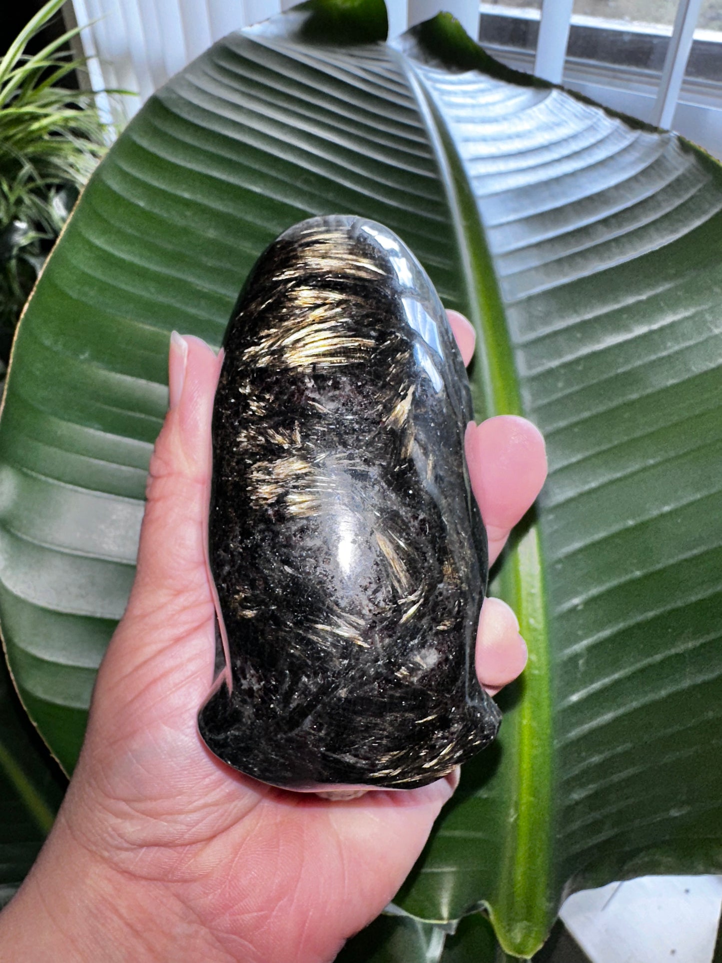 Astrophyllite Elongated Alien Crystal Skull
