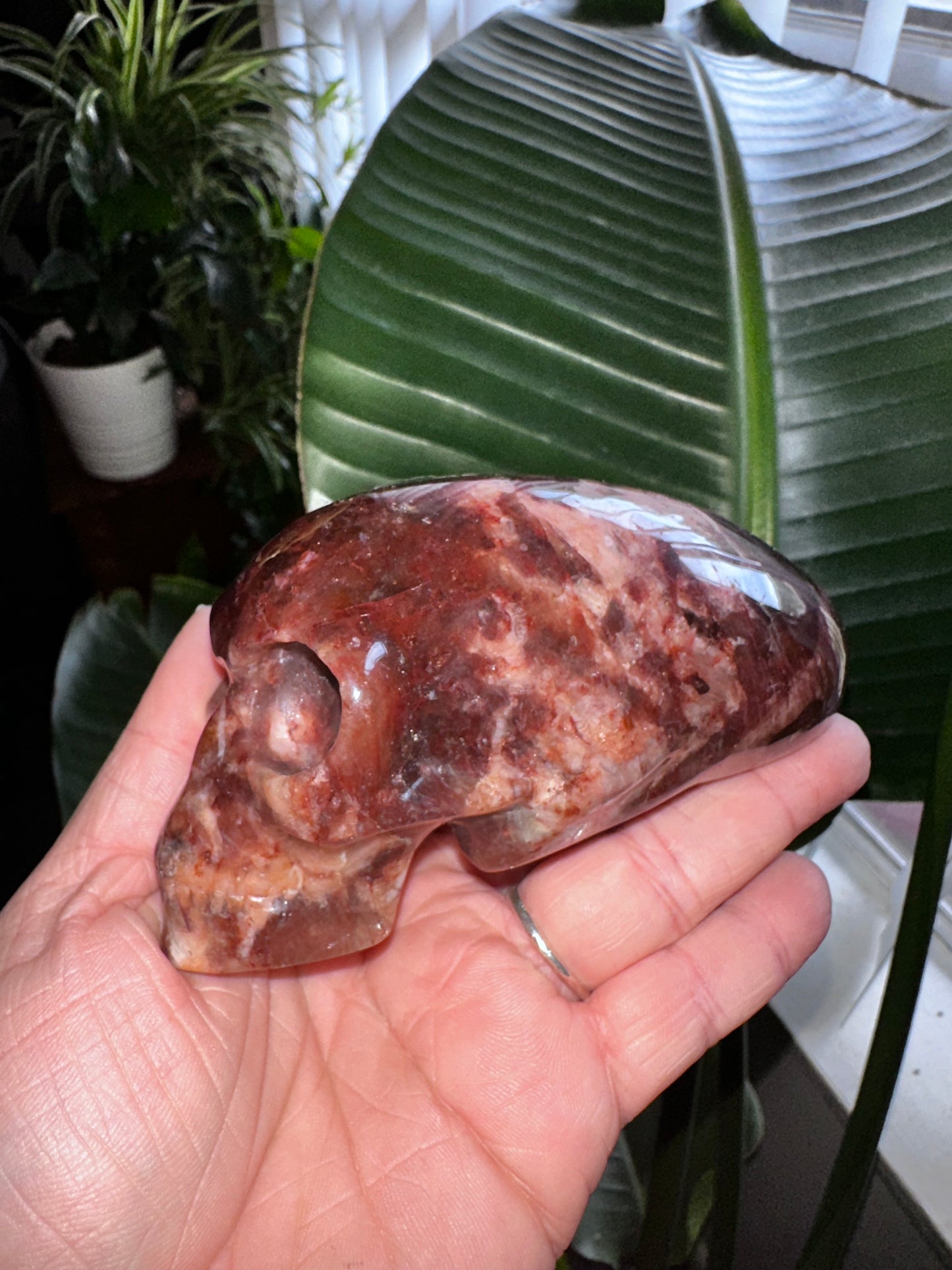 Hematoid Quartz Elongated Alien Crystal Skull