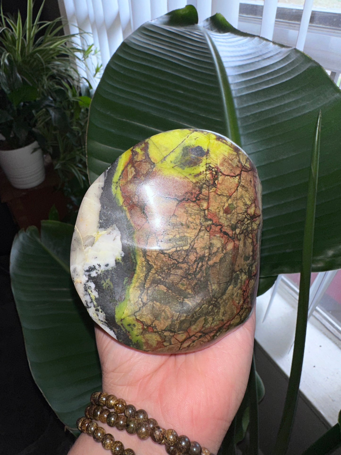 Hiso Jasper Crystal Beret Skull