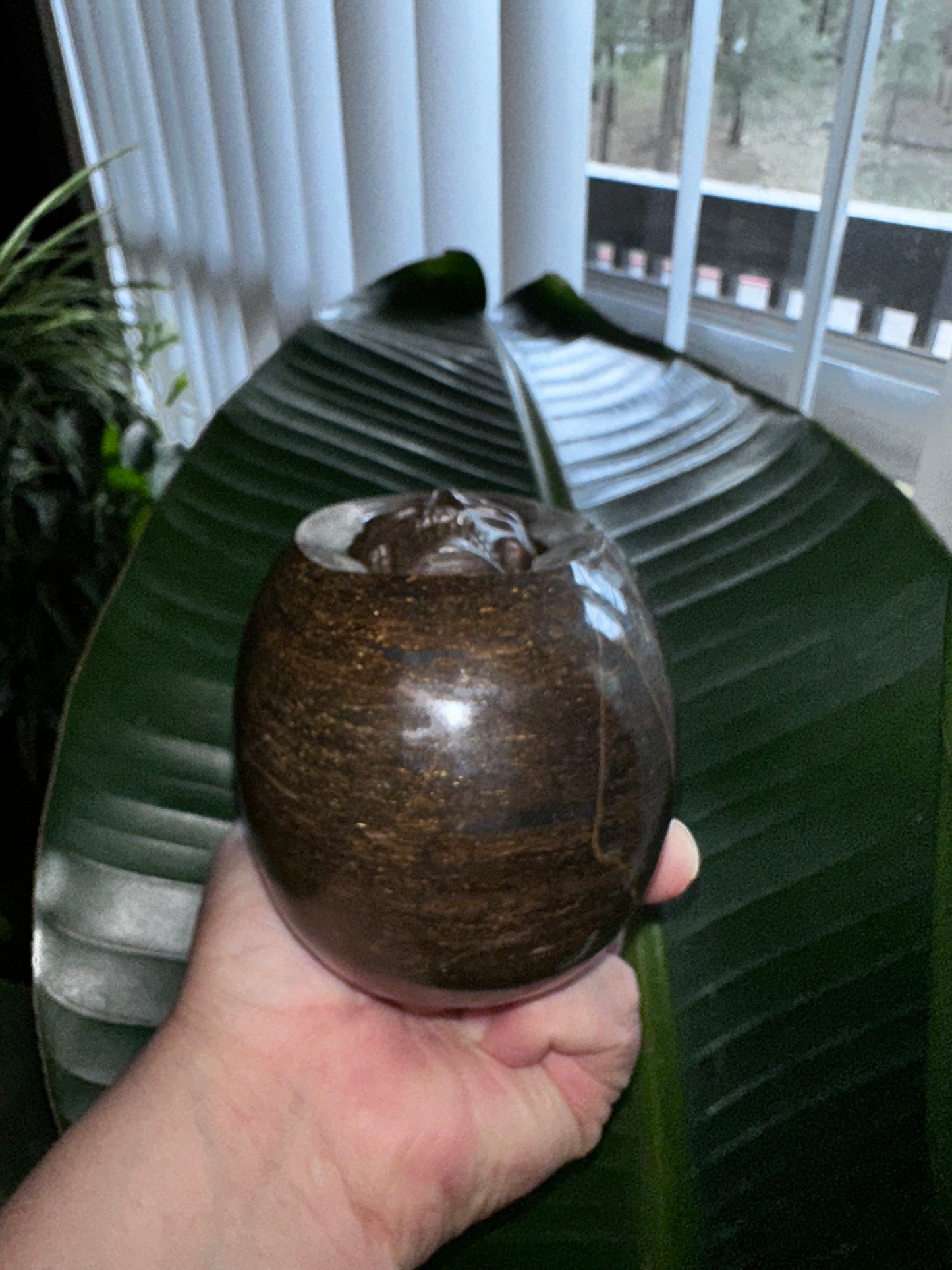 Bronzite Crystal Skull