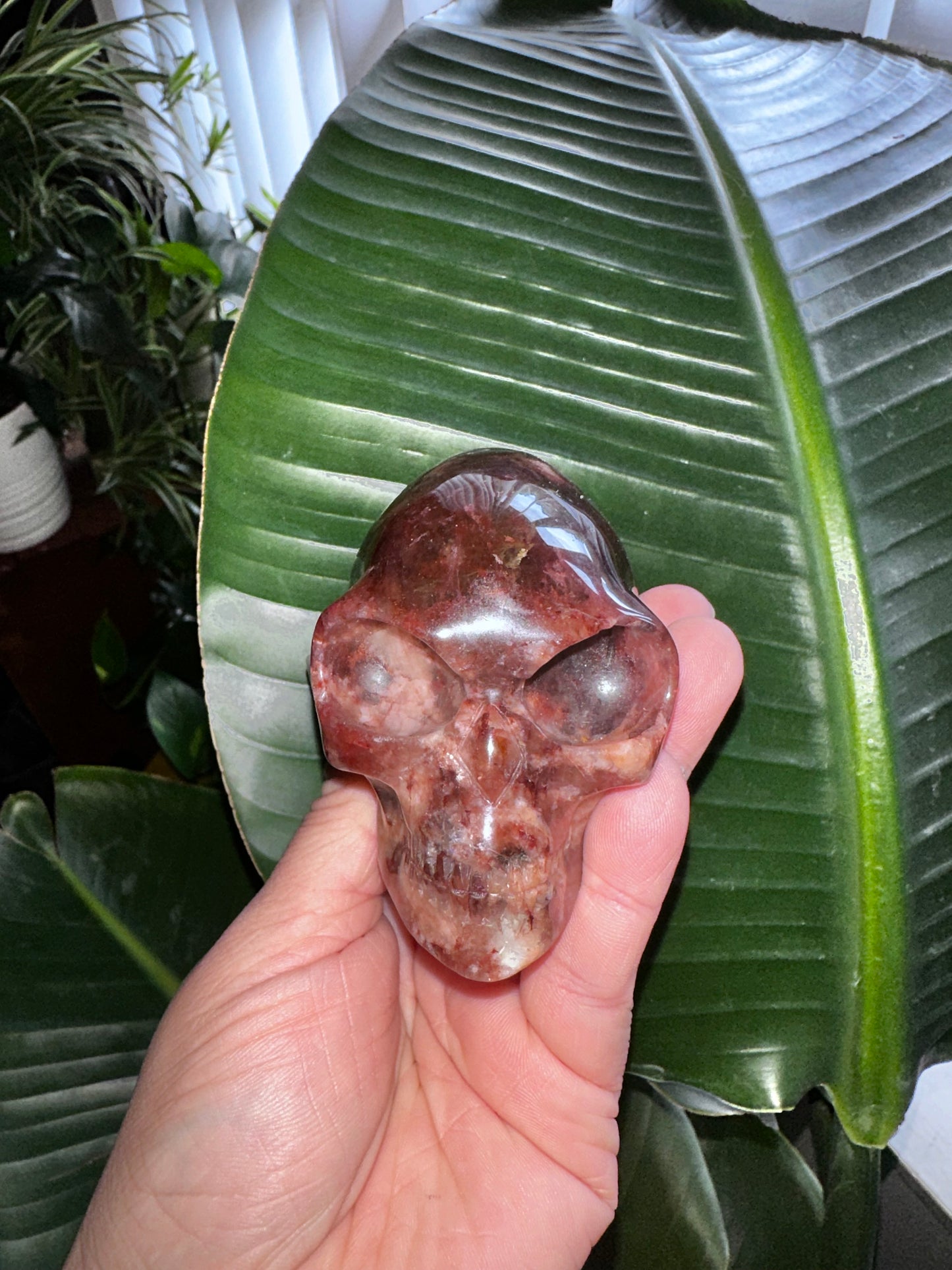 Hematoid Quartz Elongated Alien Crystal Skull