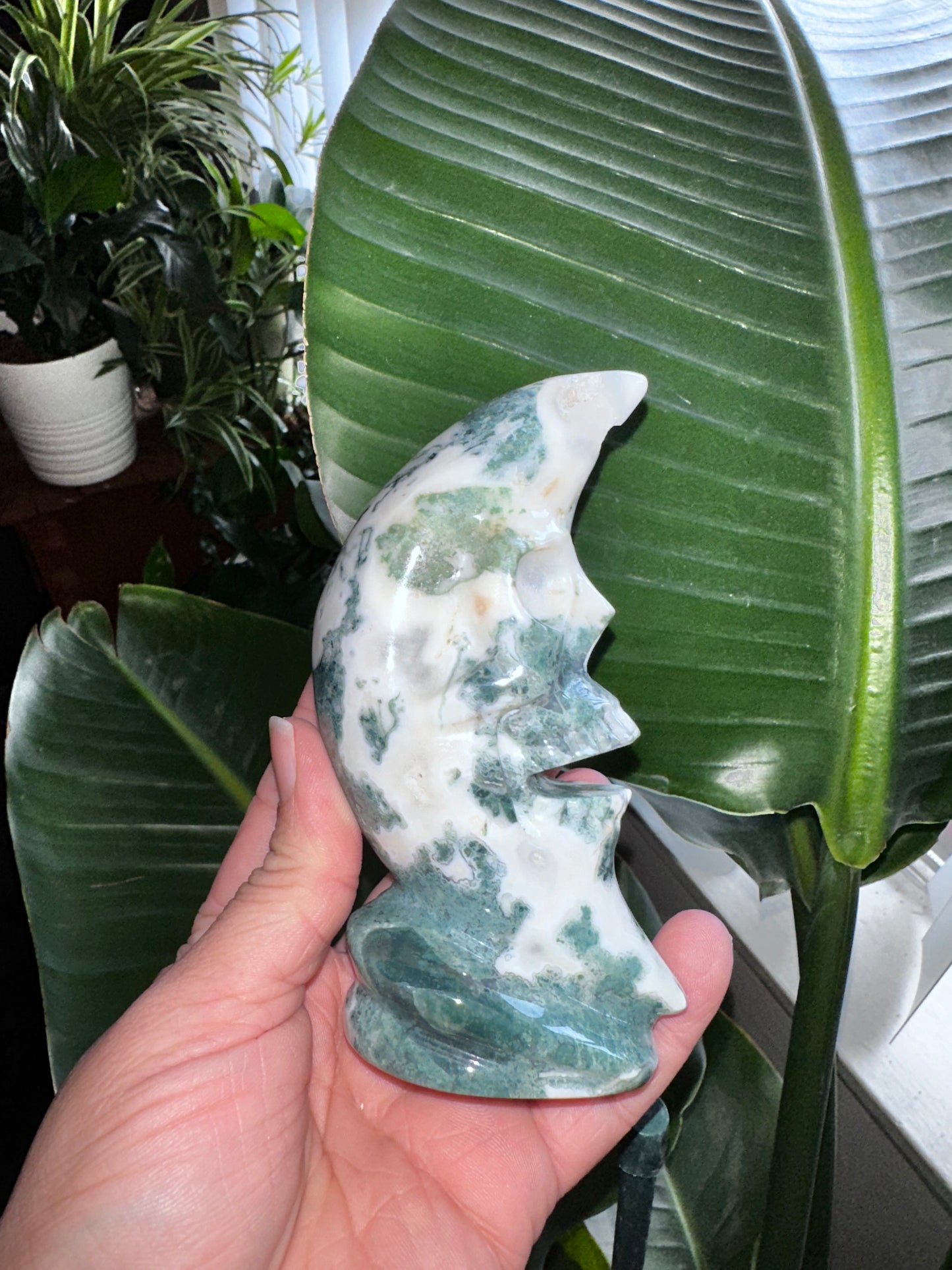Druzy Moss Agate Crystal Moon Skull