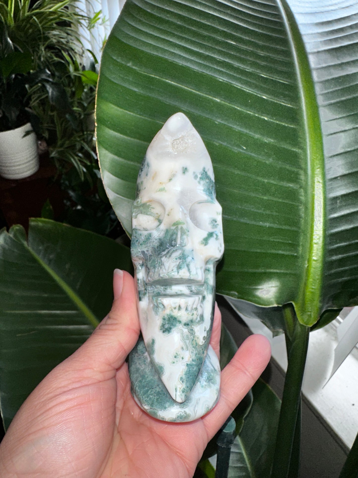 Druzy Moss Agate Crystal Moon Skull