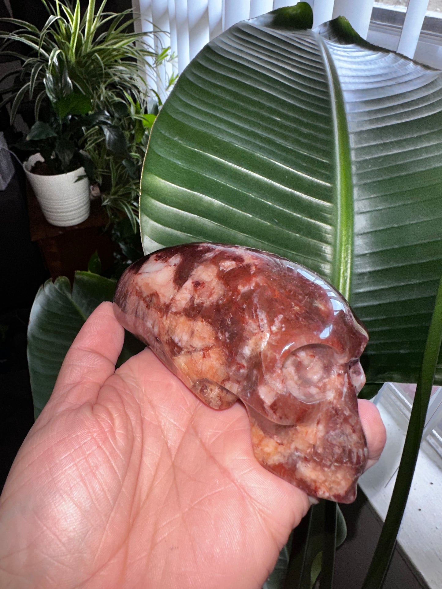Hematoid Quartz Elongated Alien Crystal Skull
