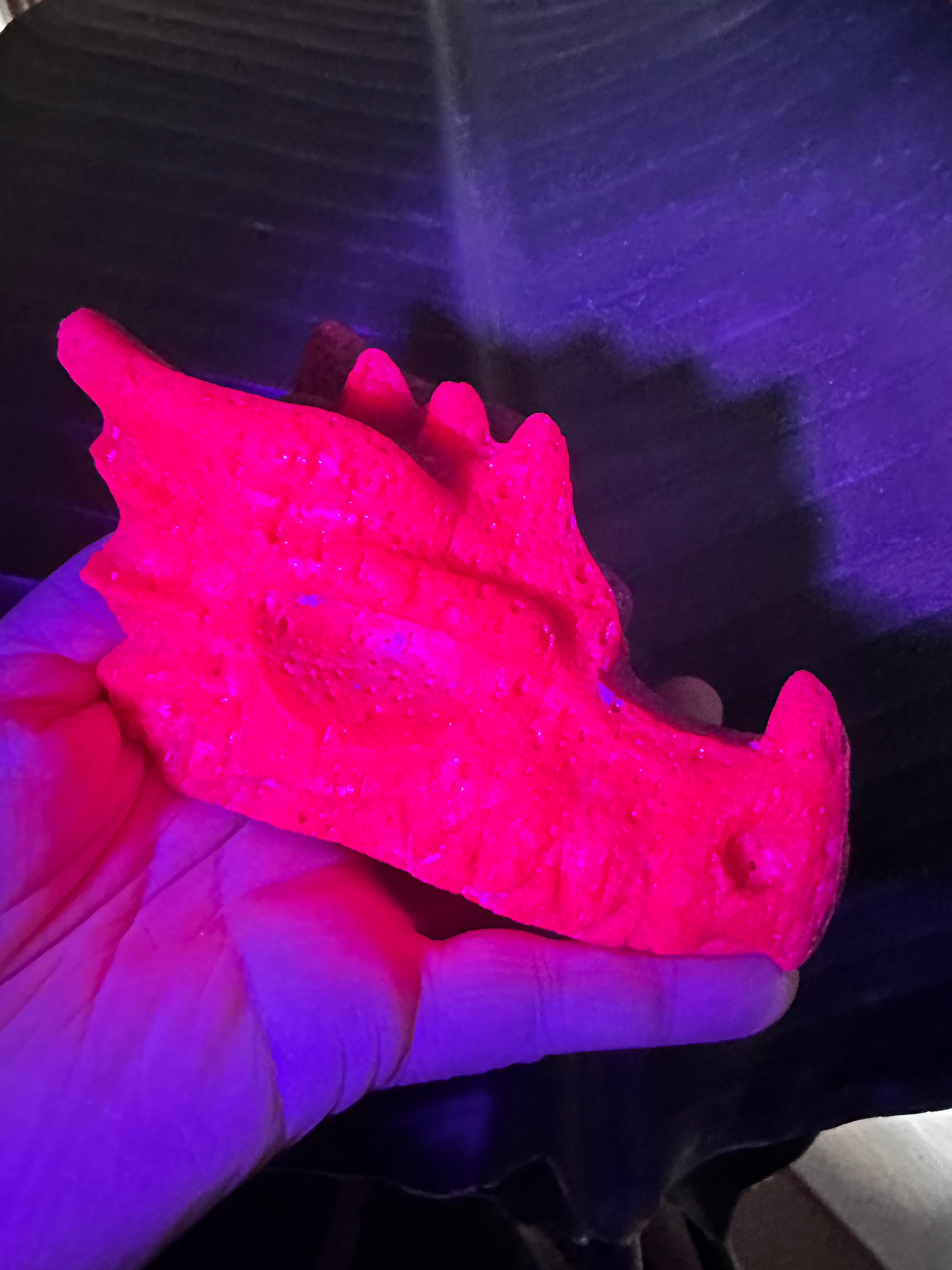 Honeycomb Ruby Dragon Skull