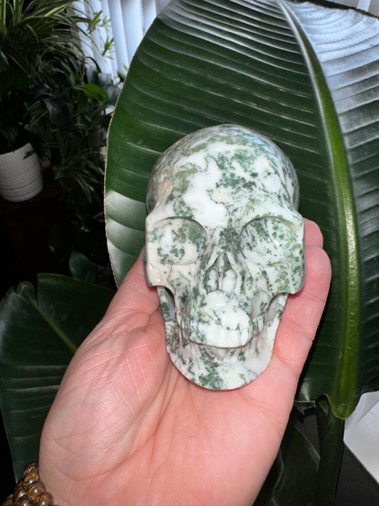 Druzy Moss Agate Crystal Skull