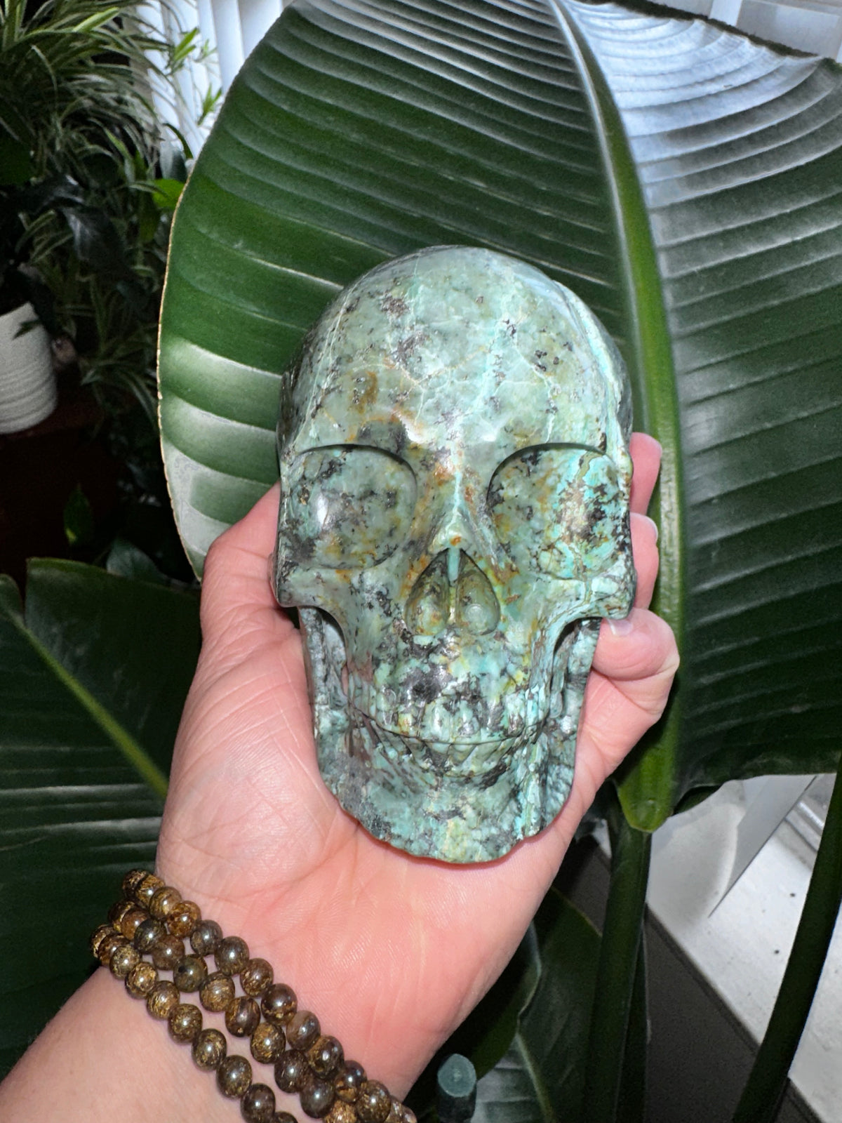 Skeleton Turqoise Turquoise Crystal Skull – Goretty Tercero